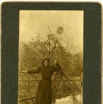 A. Coulter New Year Wishes